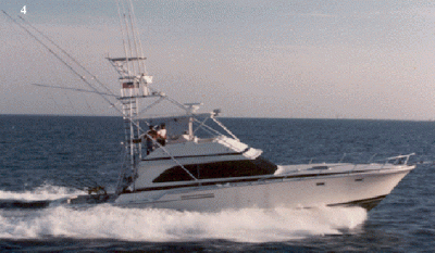 deep sea fishing deep sea fishing