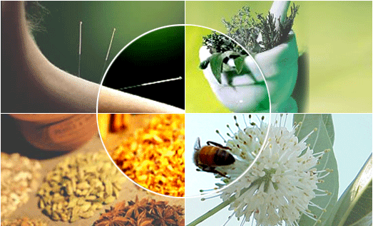 Four Natural Remedies To Heal Headaches Four Natural Remedies To Heal Headaches
