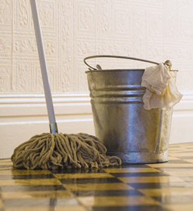 mop and bucket mop and bucket