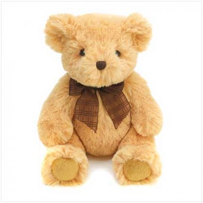 Teddy Bear Teddy Bear